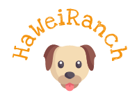 HaWeiRanch – Die Welt der Lhasa Apso